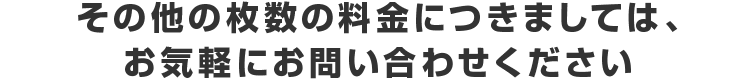 その他の枚数の料金につきましては、お気軽にお問い合わせください
										